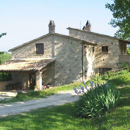 Agriturismo Frallarenza Ficulle Eksteriør billede