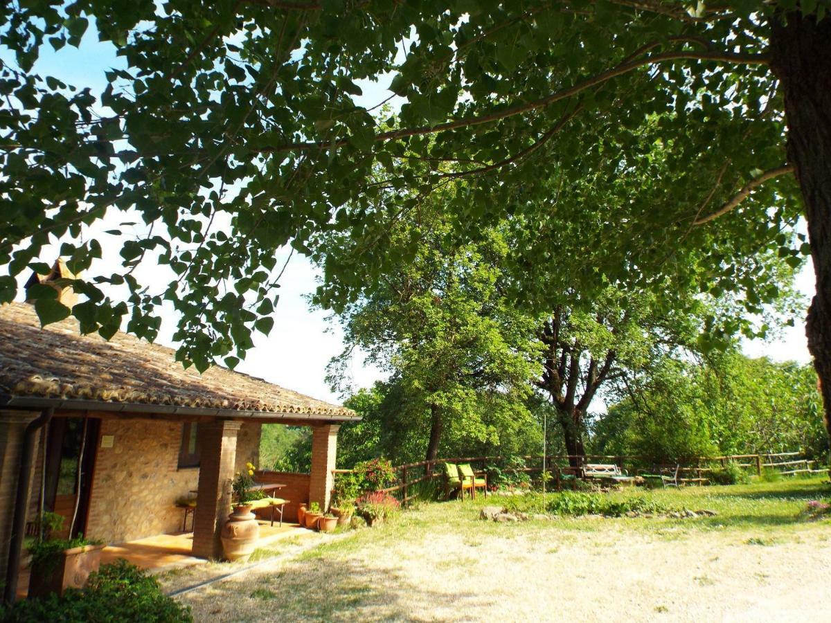 Agriturismo Frallarenza Ficulle Eksteriør billede