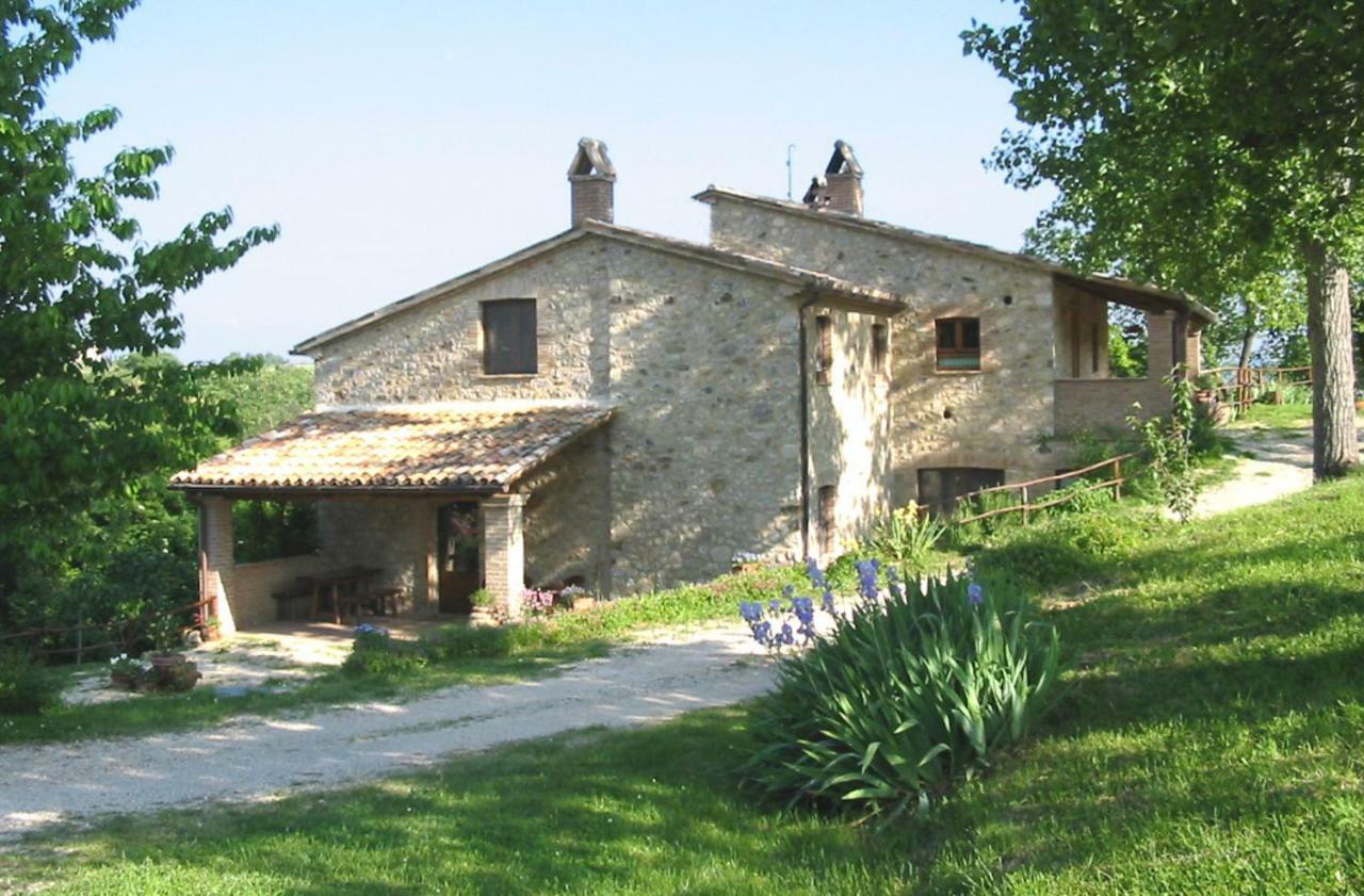 Agriturismo Frallarenza Ficulle Eksteriør billede