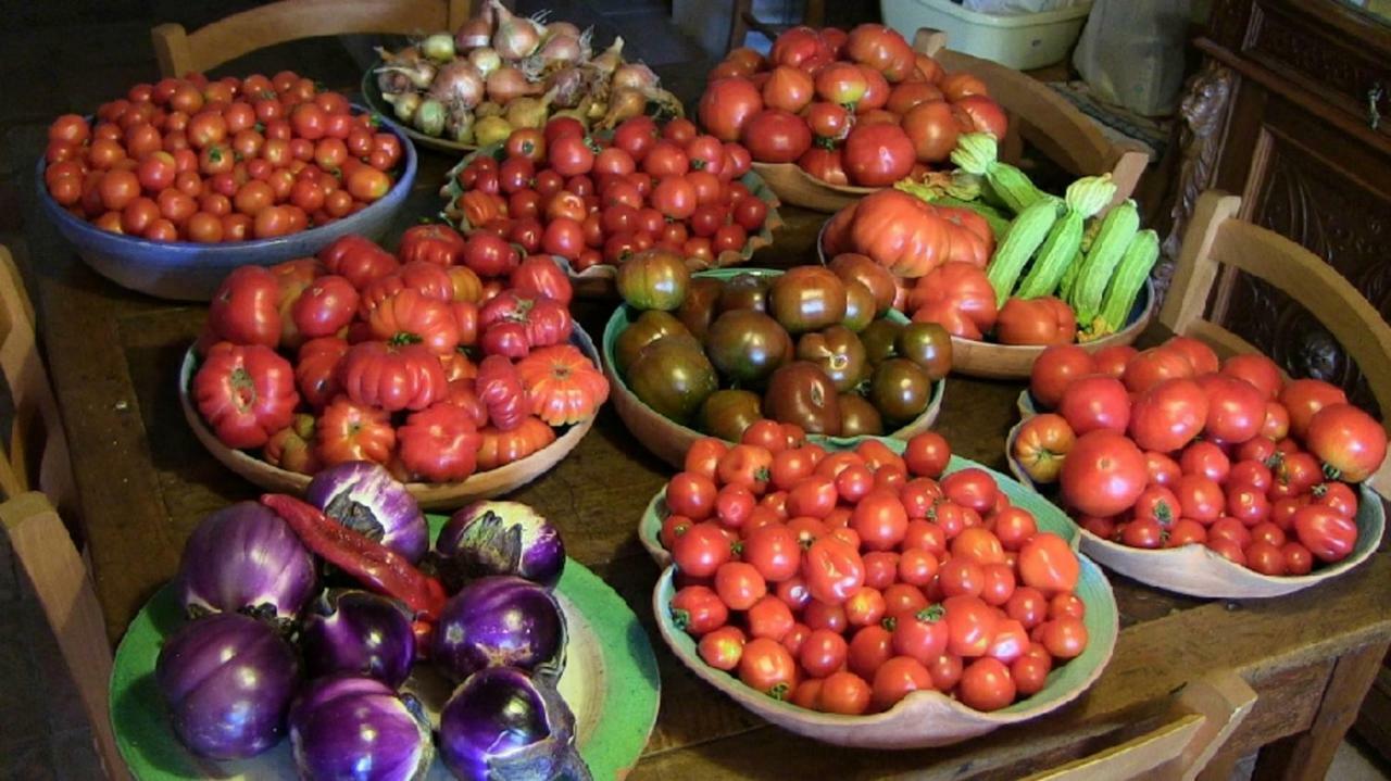 Agriturismo Frallarenza Ficulle Eksteriør billede
