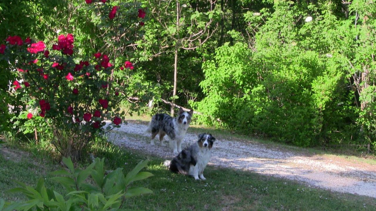 Agriturismo Frallarenza Ficulle Eksteriør billede