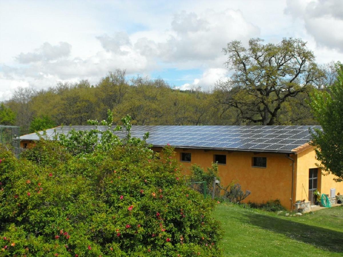 Agriturismo Frallarenza Ficulle Eksteriør billede