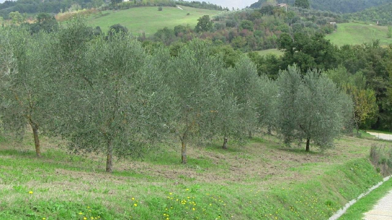 Agriturismo Frallarenza Ficulle Eksteriør billede