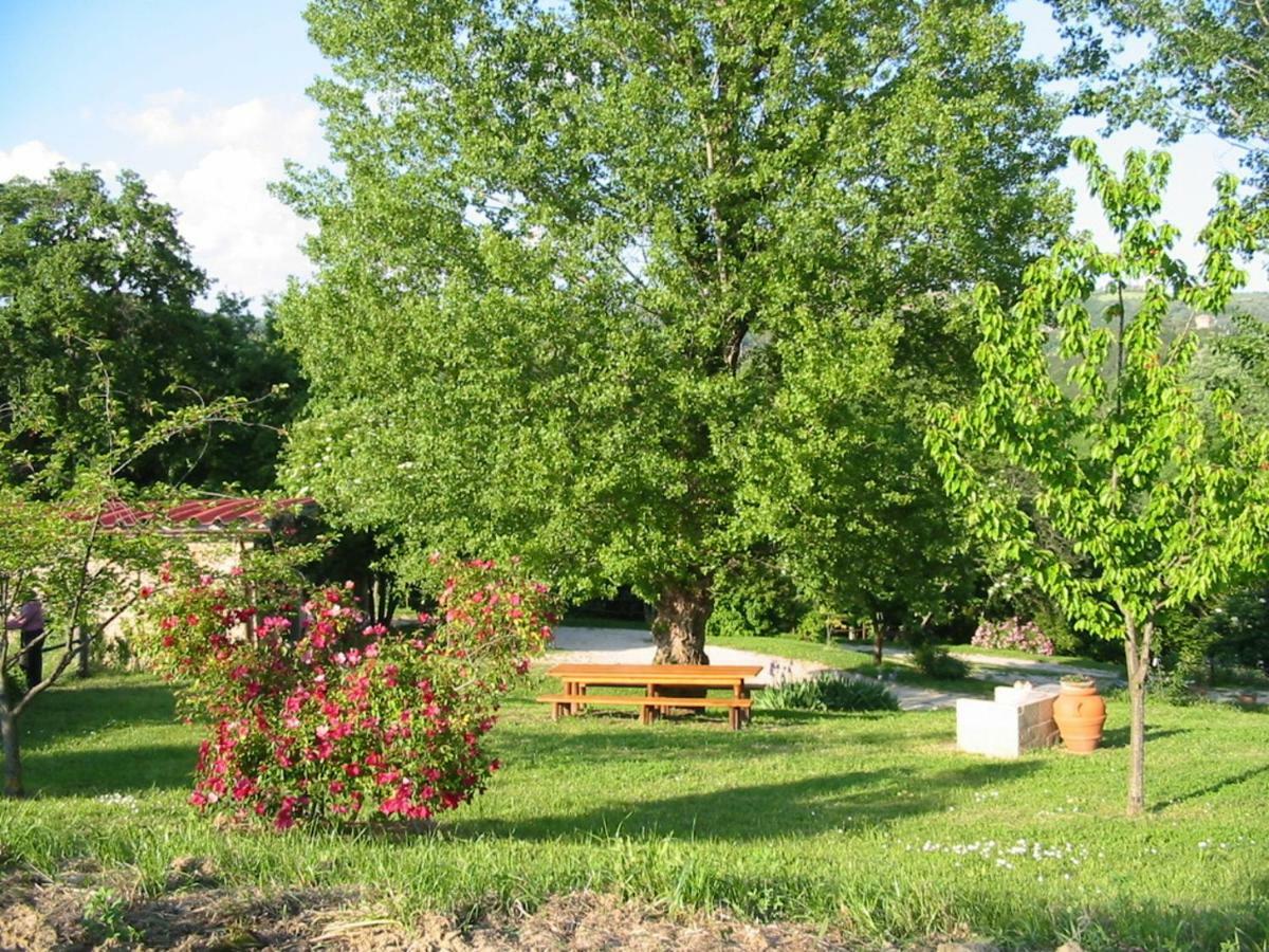 Agriturismo Frallarenza Ficulle Eksteriør billede