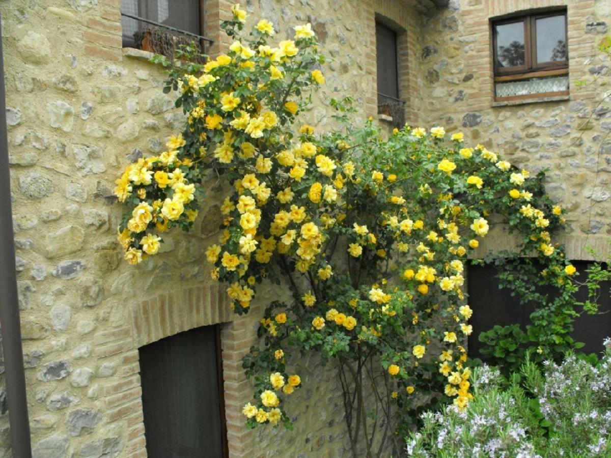 Agriturismo Frallarenza Ficulle Eksteriør billede