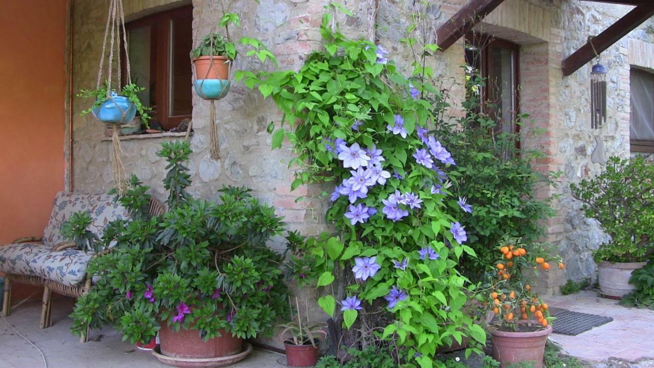 Agriturismo Frallarenza Ficulle Eksteriør billede