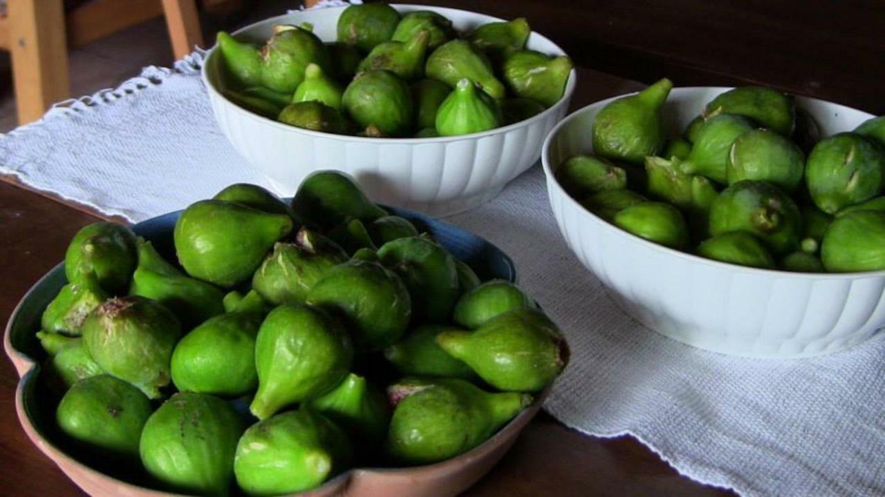 Agriturismo Frallarenza Ficulle Eksteriør billede